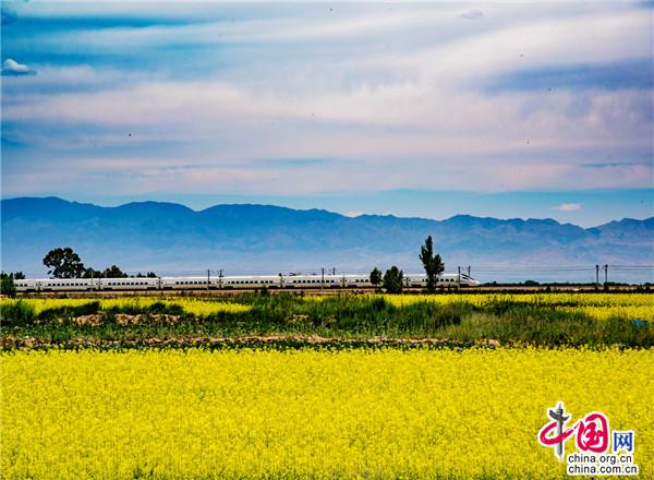 甘肃民乐：雪域花怒放 风吹满城香(图2)