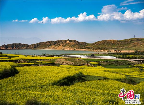 甘肃民乐：雪域花怒放 风吹满城香(图5)
