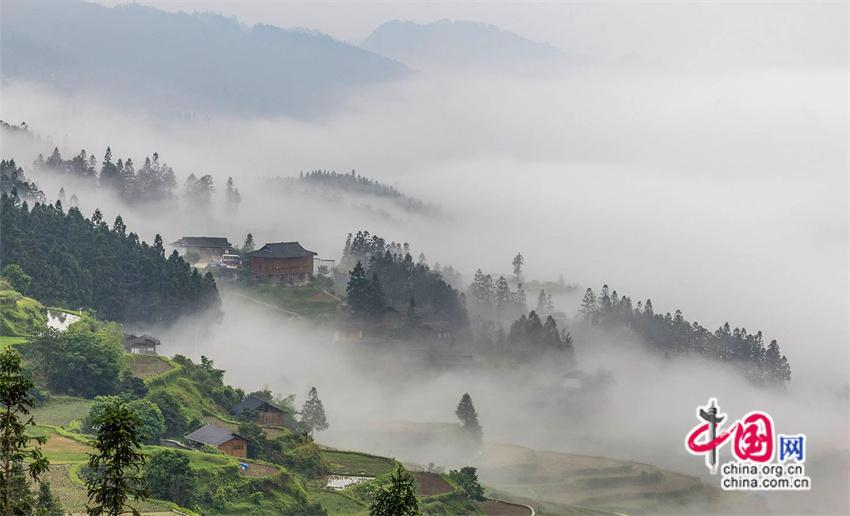 一路黔行：探秘贵州大山深处的有机小镇(图1)