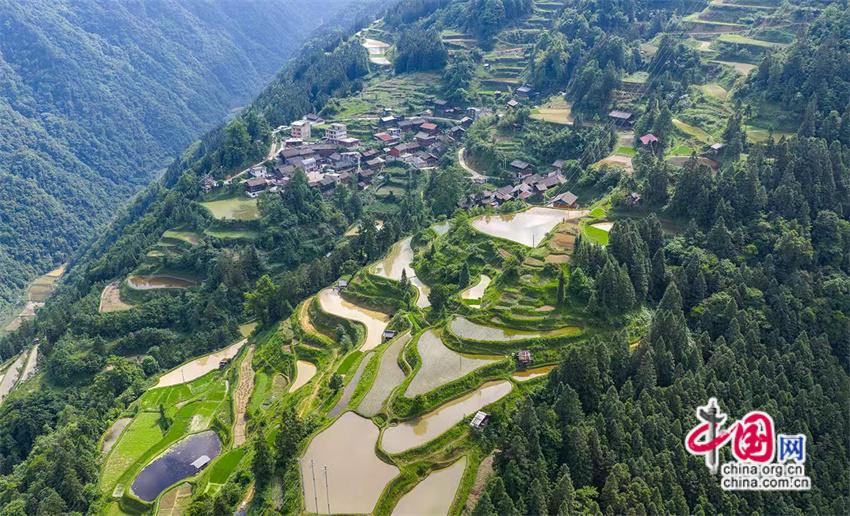 一路黔行：探秘贵州大山深处的有机小镇(图16)